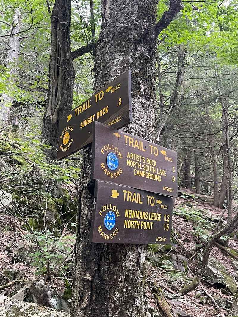 Wildlife, Safety, And Respect