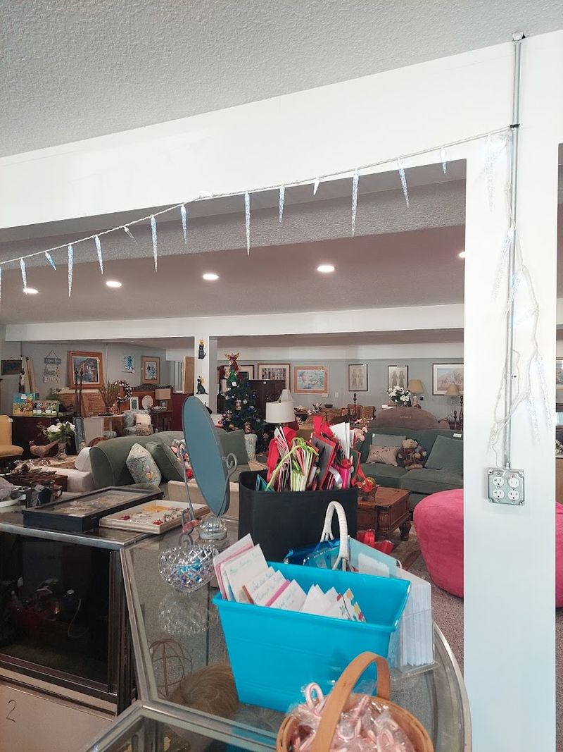 Books, Media, And Hobbies