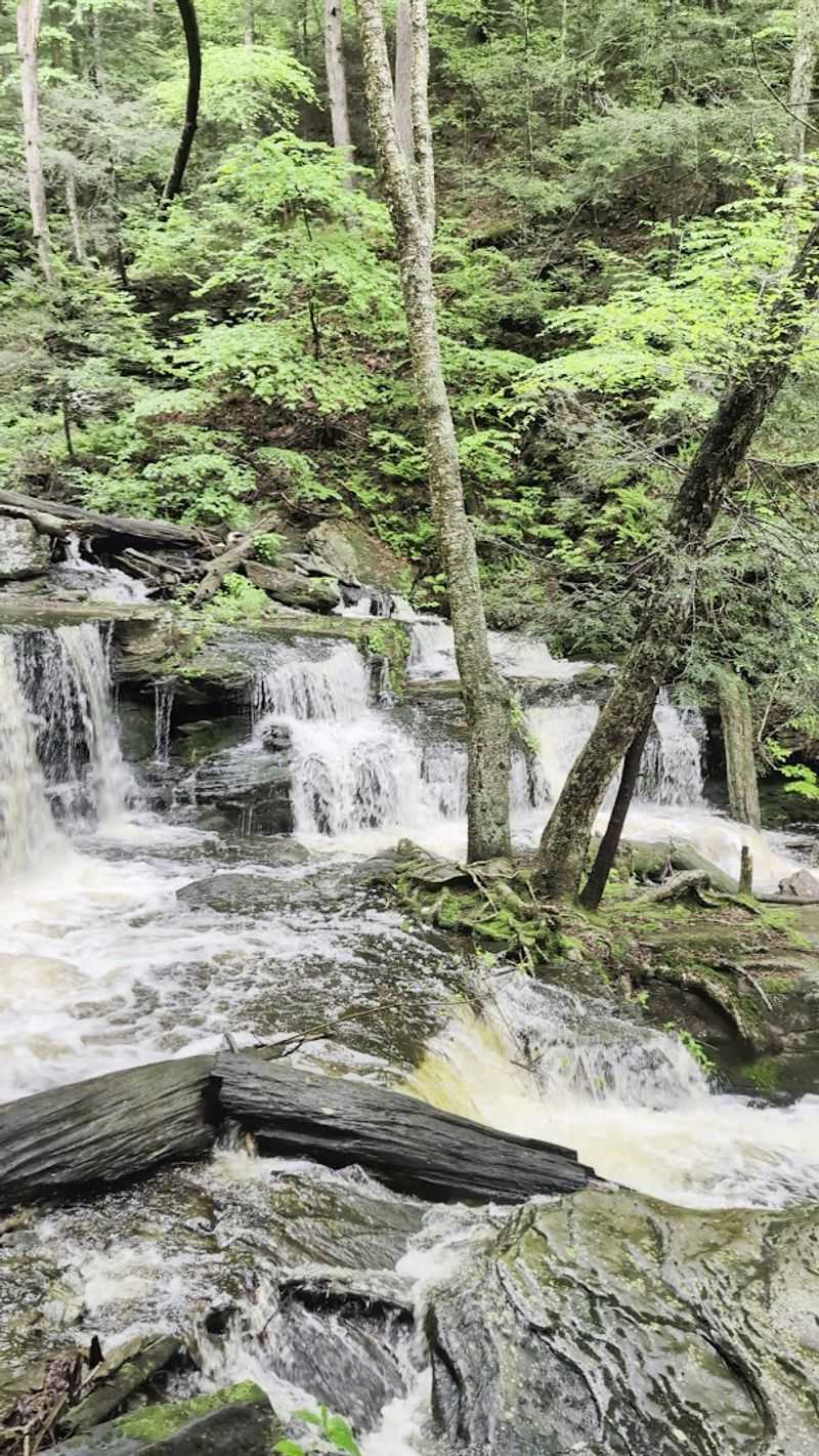 Best Seasons and Timing