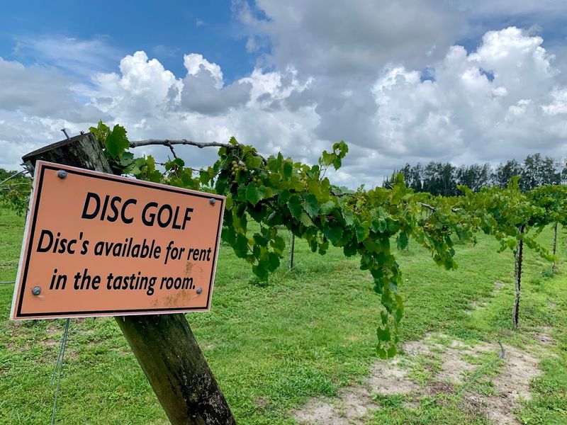 Disc Golf On The Grounds