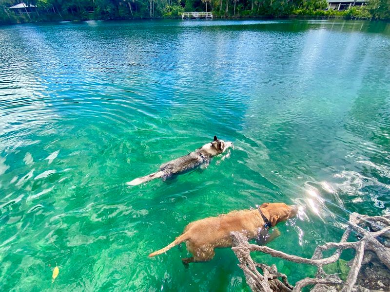 Crystal-Clear Quarry Waters That Look Almost Tropical