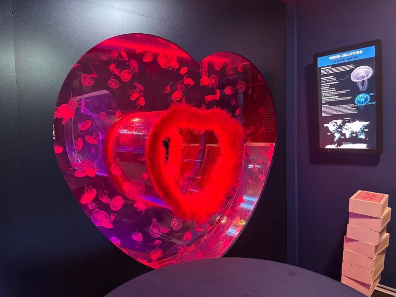 Interactive Elements for Young Visitors
