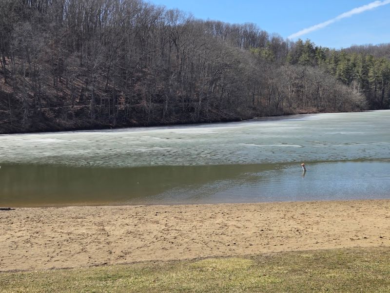 Strouds Run Beach and Boathouse