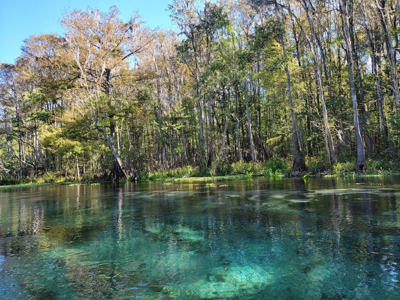 Ichetucknee Springs Trails (Fort White)