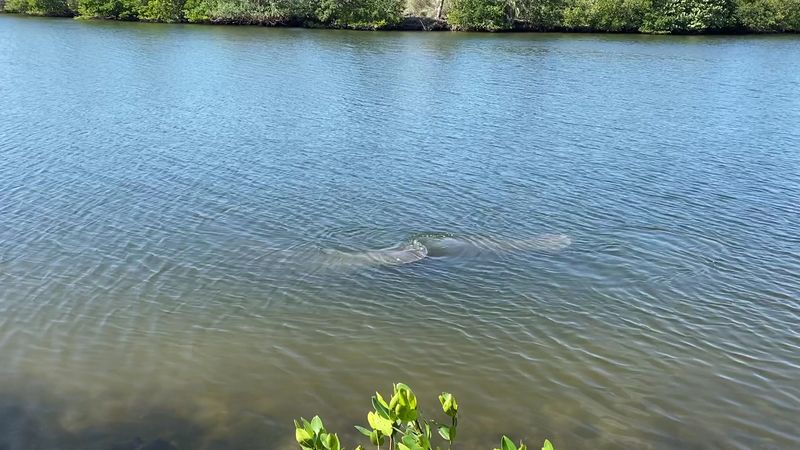 Lovers Key State Park