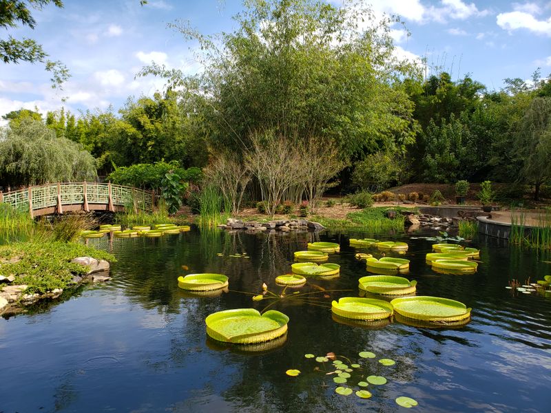 Underwater Viewing and Education Stations