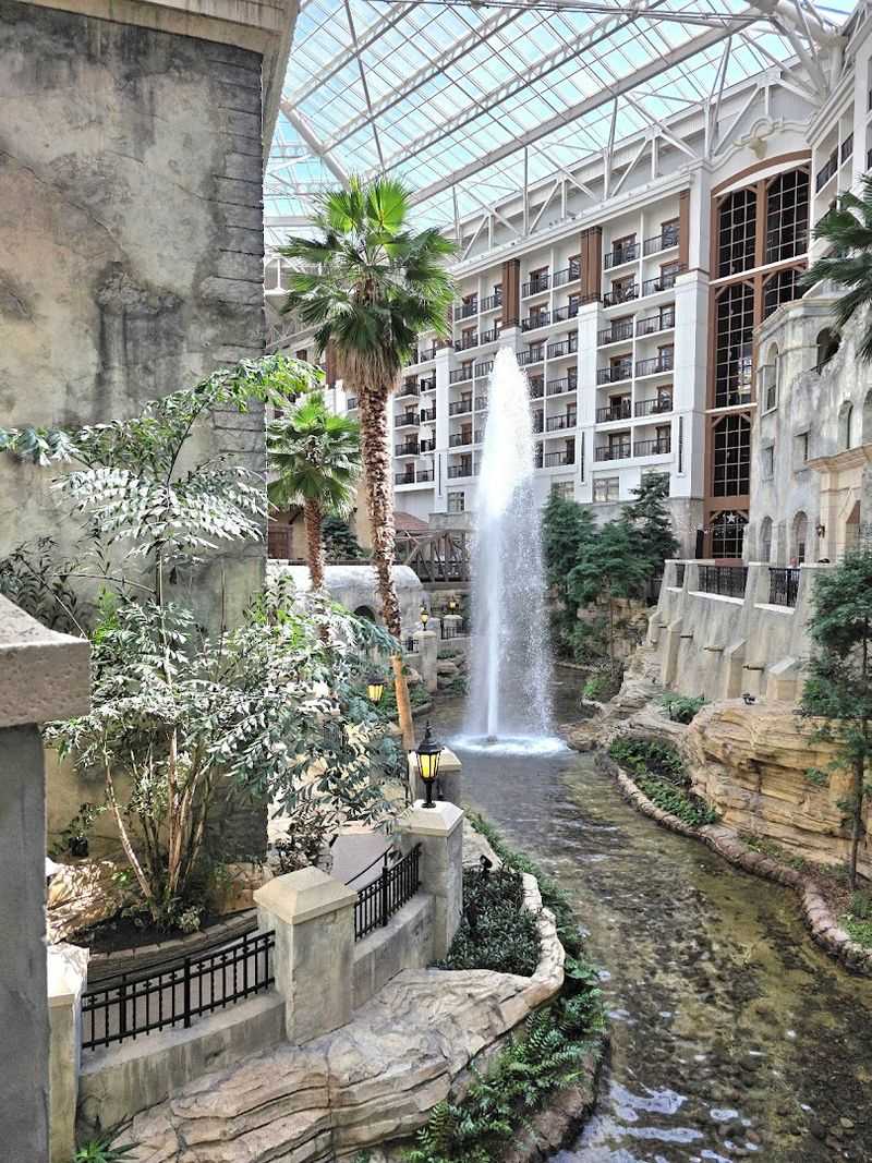 Value That Justifies the Splurge for Special Occasions