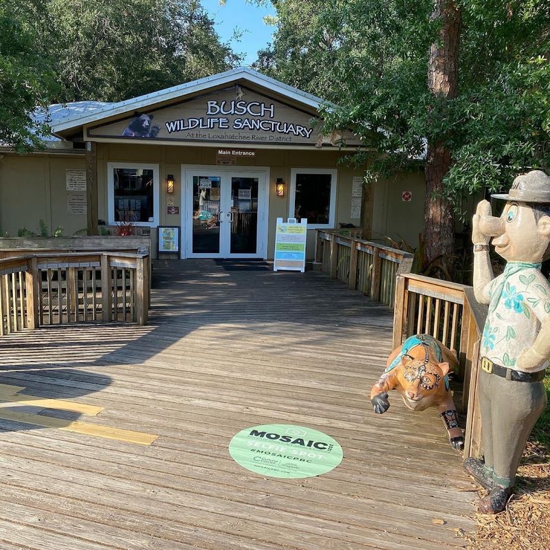 Behind the Scenes Wildlife Hospital Saving Lives Daily