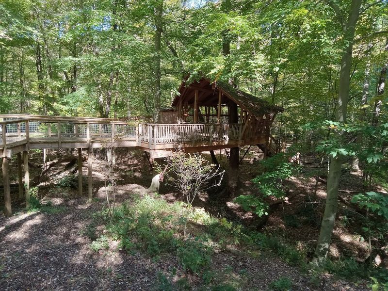 Trails and Treehouse Overlook