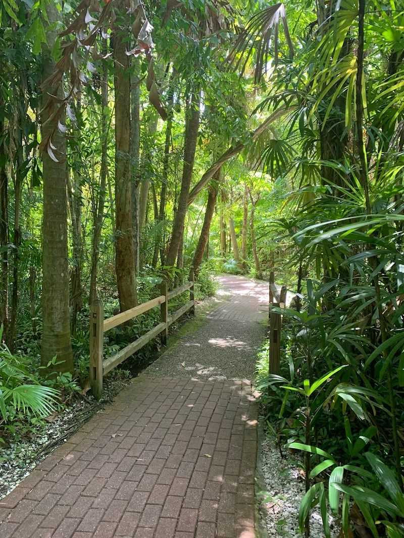 Lush Tropical Trails And Photo Spots