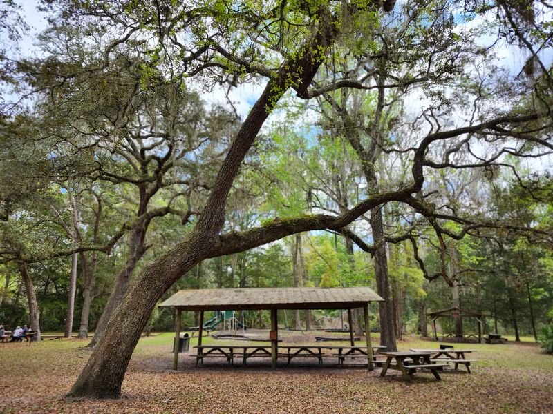 Shaded Picnic Areas Perfect for All-Day Visits