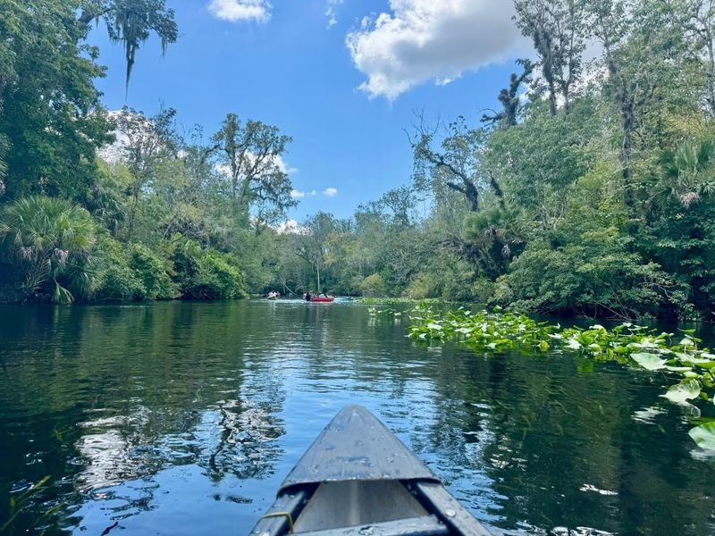 Wekiwa Springs / Wekiva River
