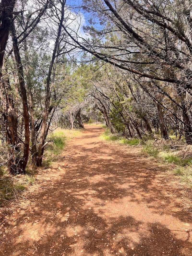 Heat Management and Hydration Realities