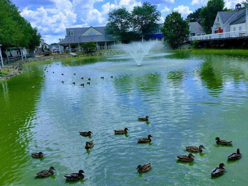 Family Friendly Walks and Play Stops