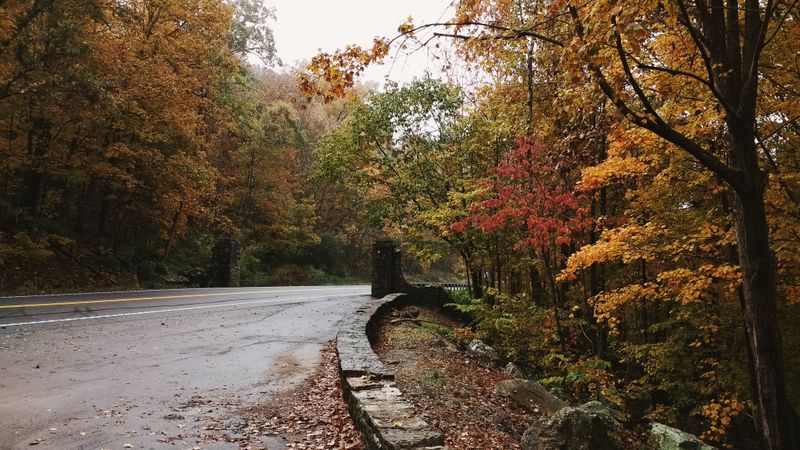 Scenic Trails With Views You'll Never Forget