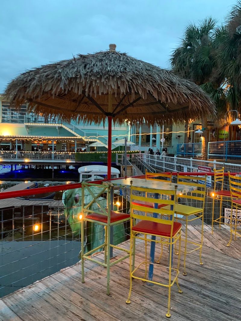 Dog-Friendly Outdoor Paradise