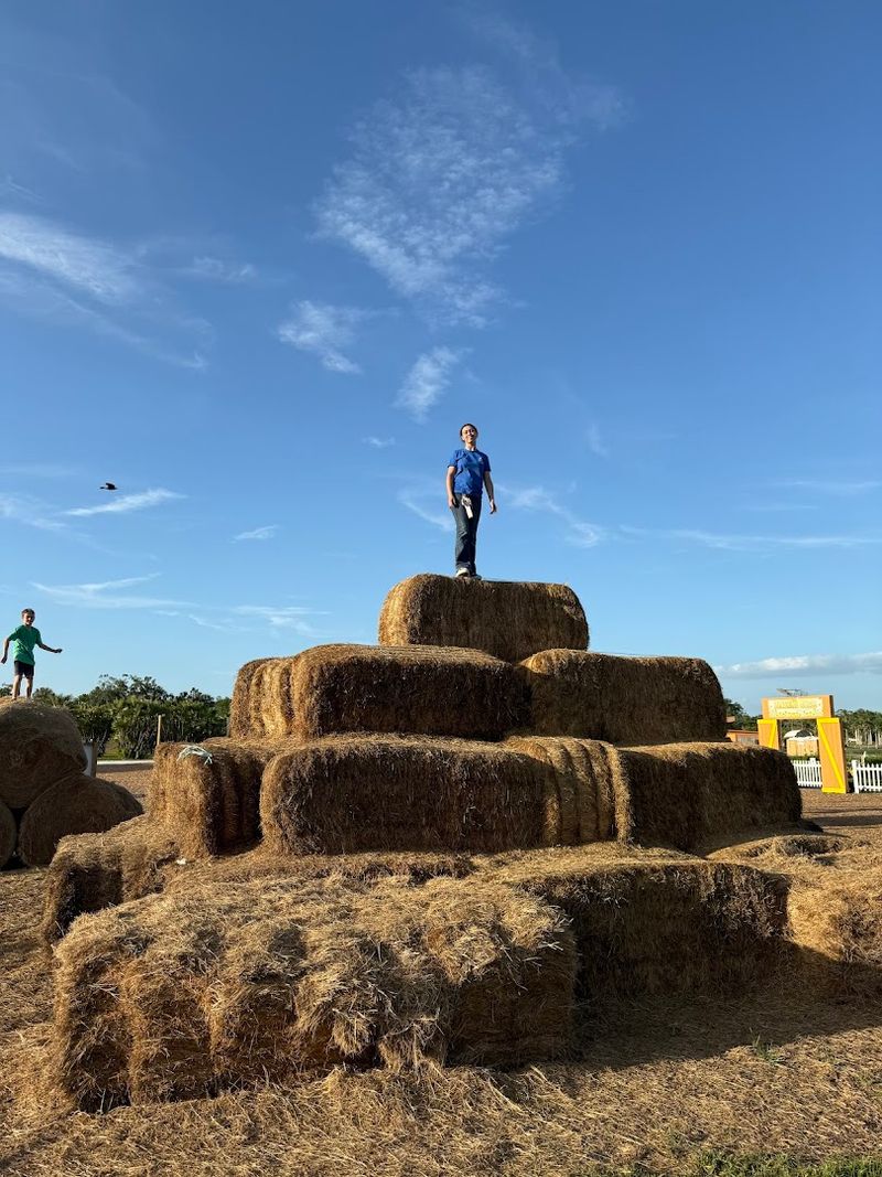 Massive Hay Mountain With Tube Slides