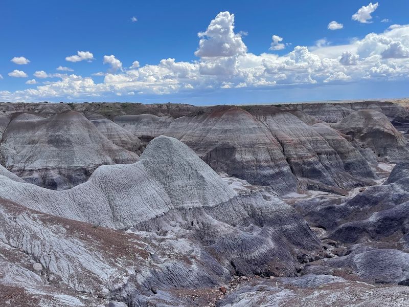Blue Mesa Trail (Chambers)
