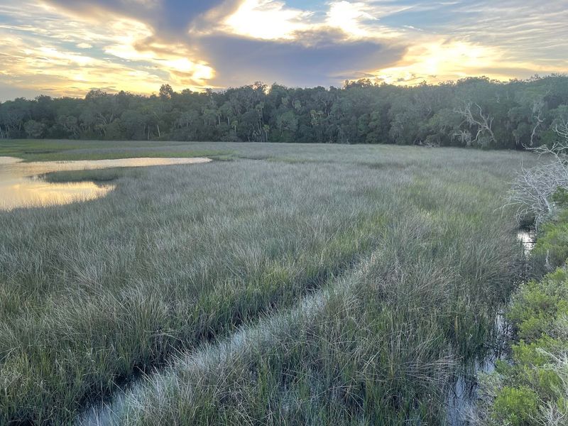 The Hidden Pond: The Peaceful Reward Waiting at the End