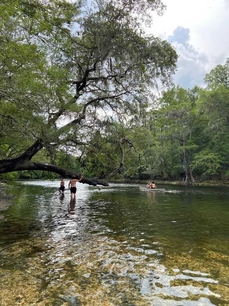 Rope Swing for the Adventurous