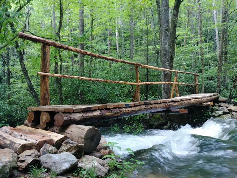 Backcountry Feel, Close To I-26