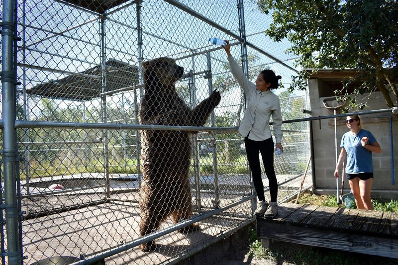 100% Volunteer-Run and Proud of It: The People Keeping This Place Alive