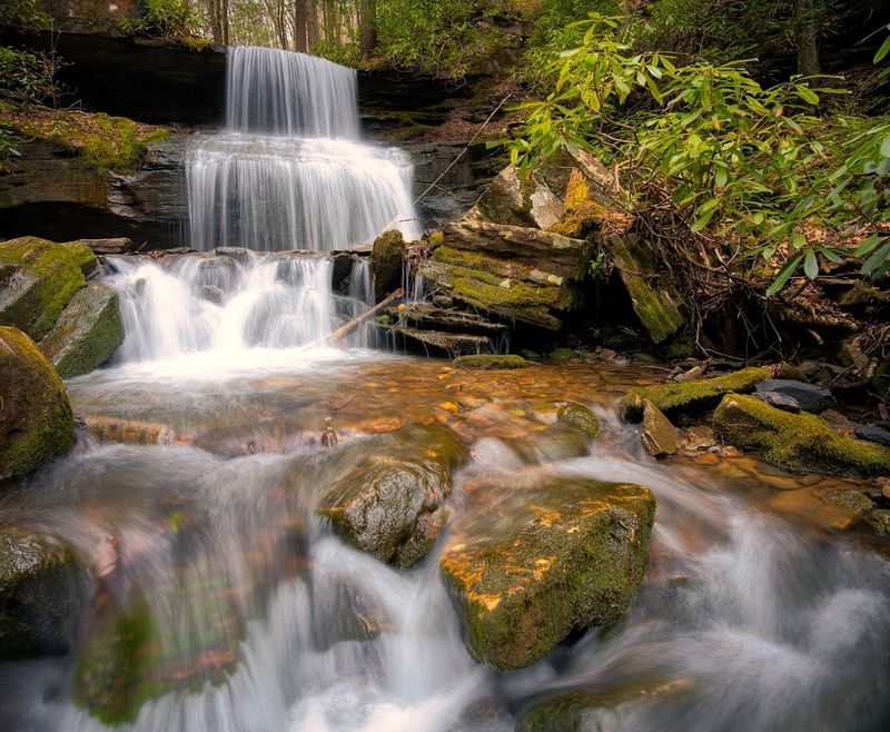 Round Island Run Falls, Sproul State Forest