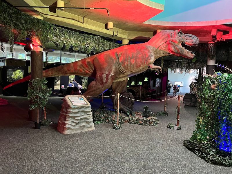 Life and Earth Science Galleries