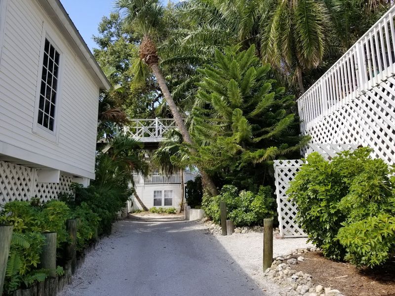 Victorian Architecture Meets Tropical Paradise