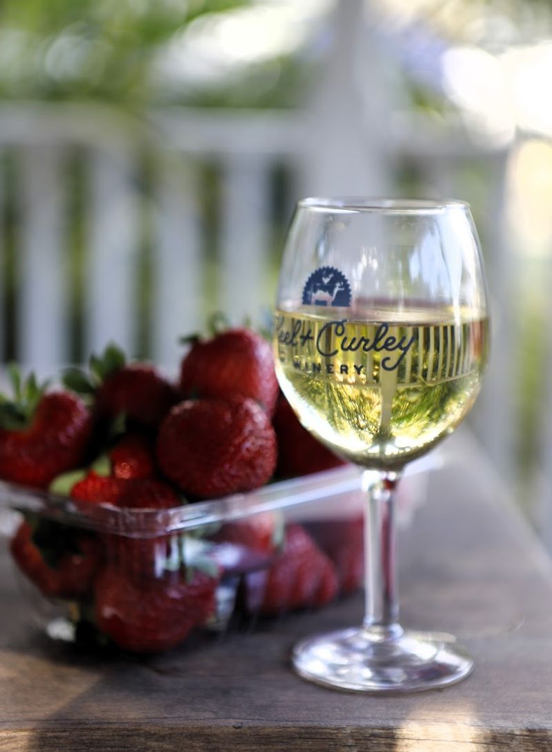U-Pick Berry Fields For Hands-On Fun