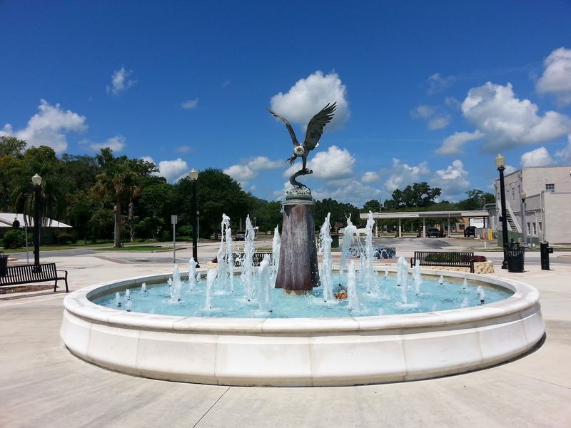 Community Events And Festivals