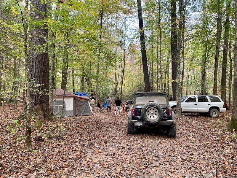 How to Experience the Wilderness Like a Local