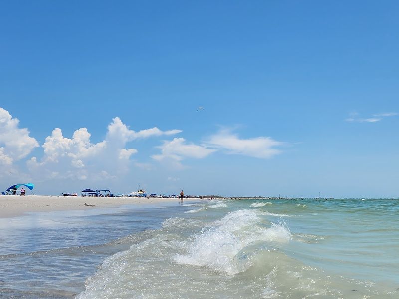 Dog Beach And Fenced Paw Playground