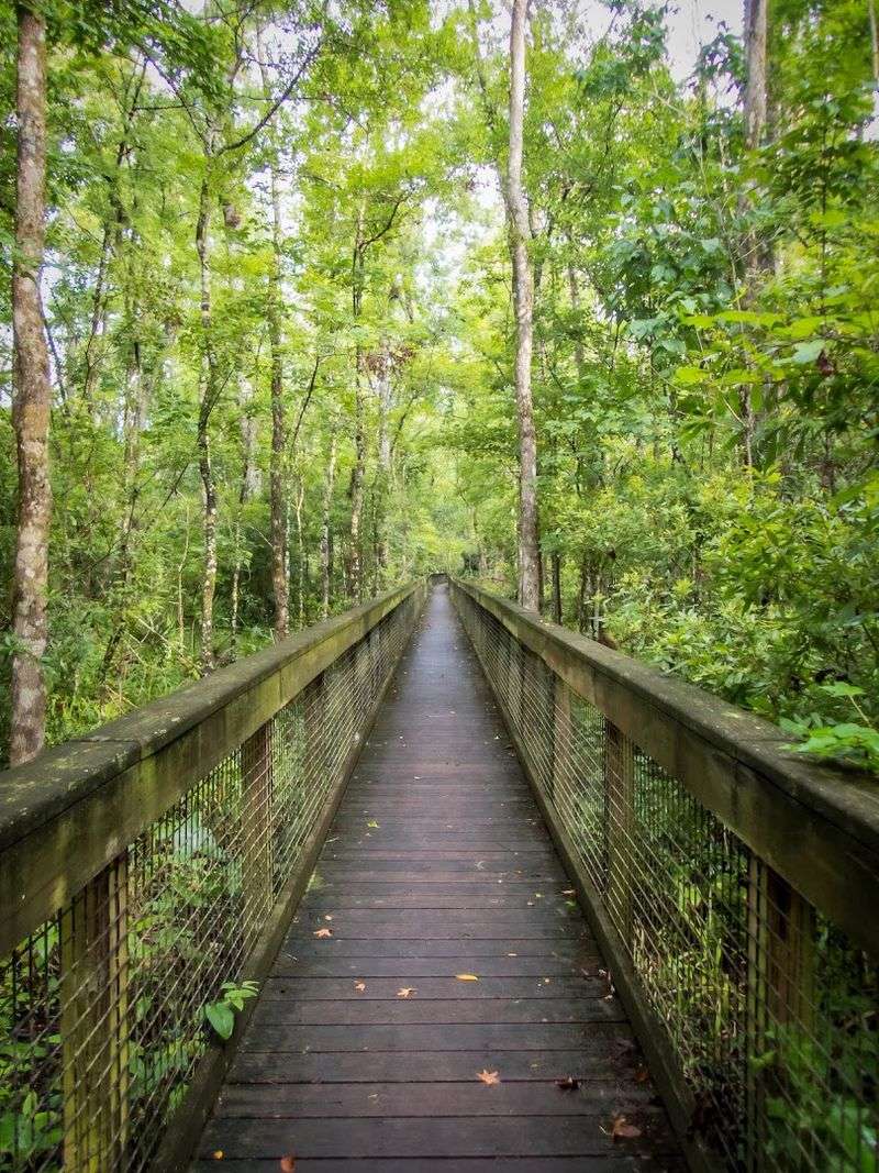 Trail Systems Perfect for Casual Explorers