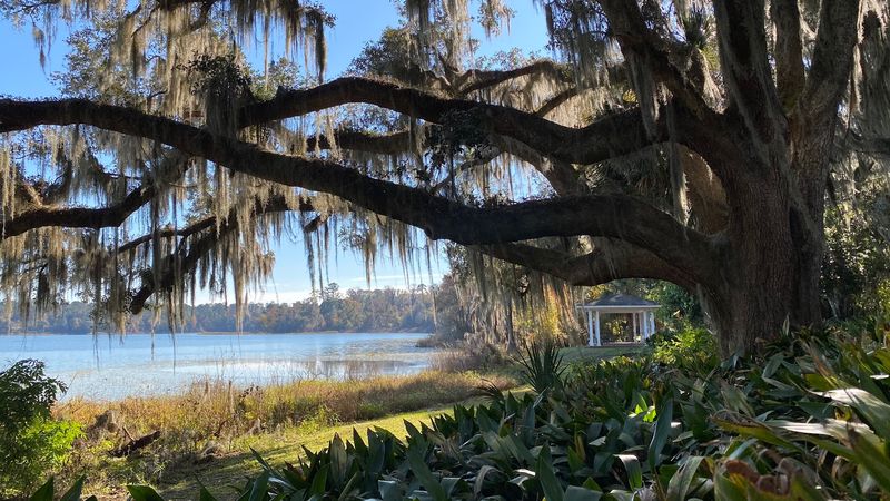 Wildlife and Birdwatching