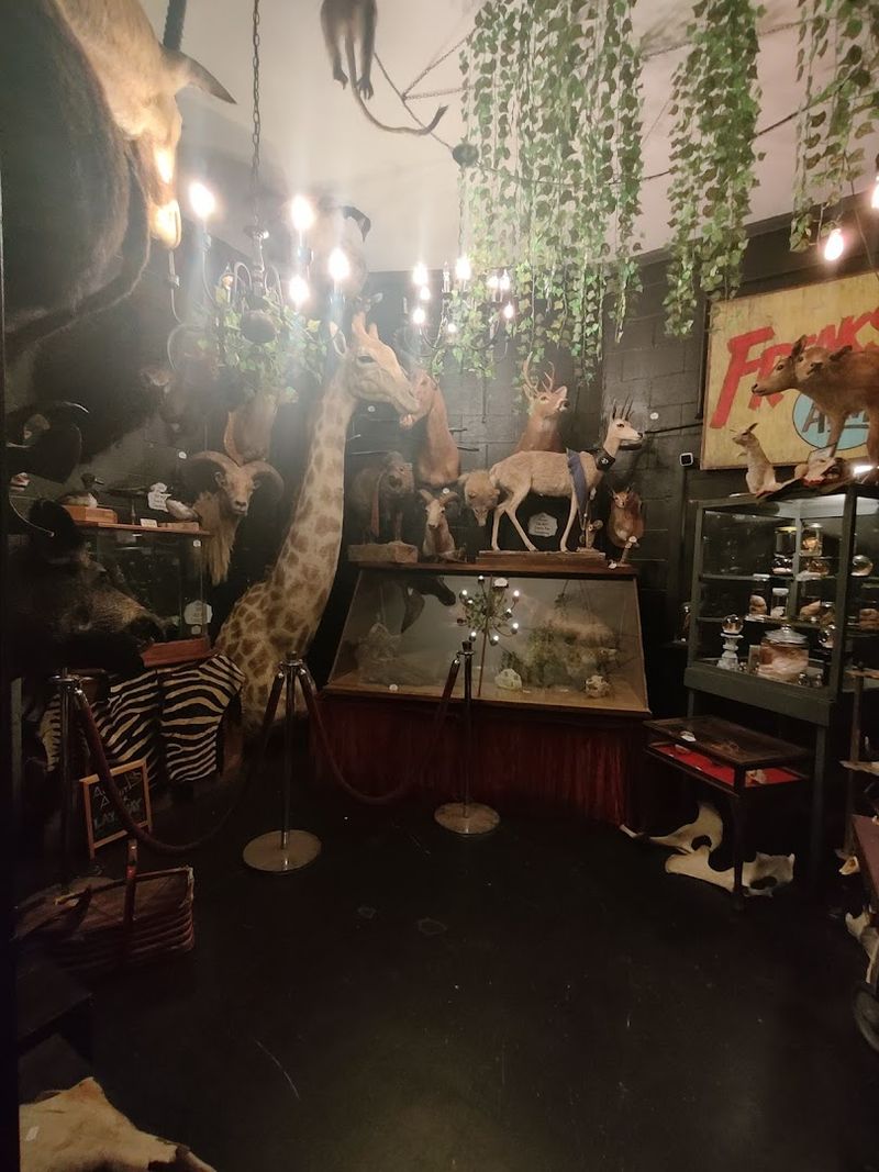 The hidden museum in the back