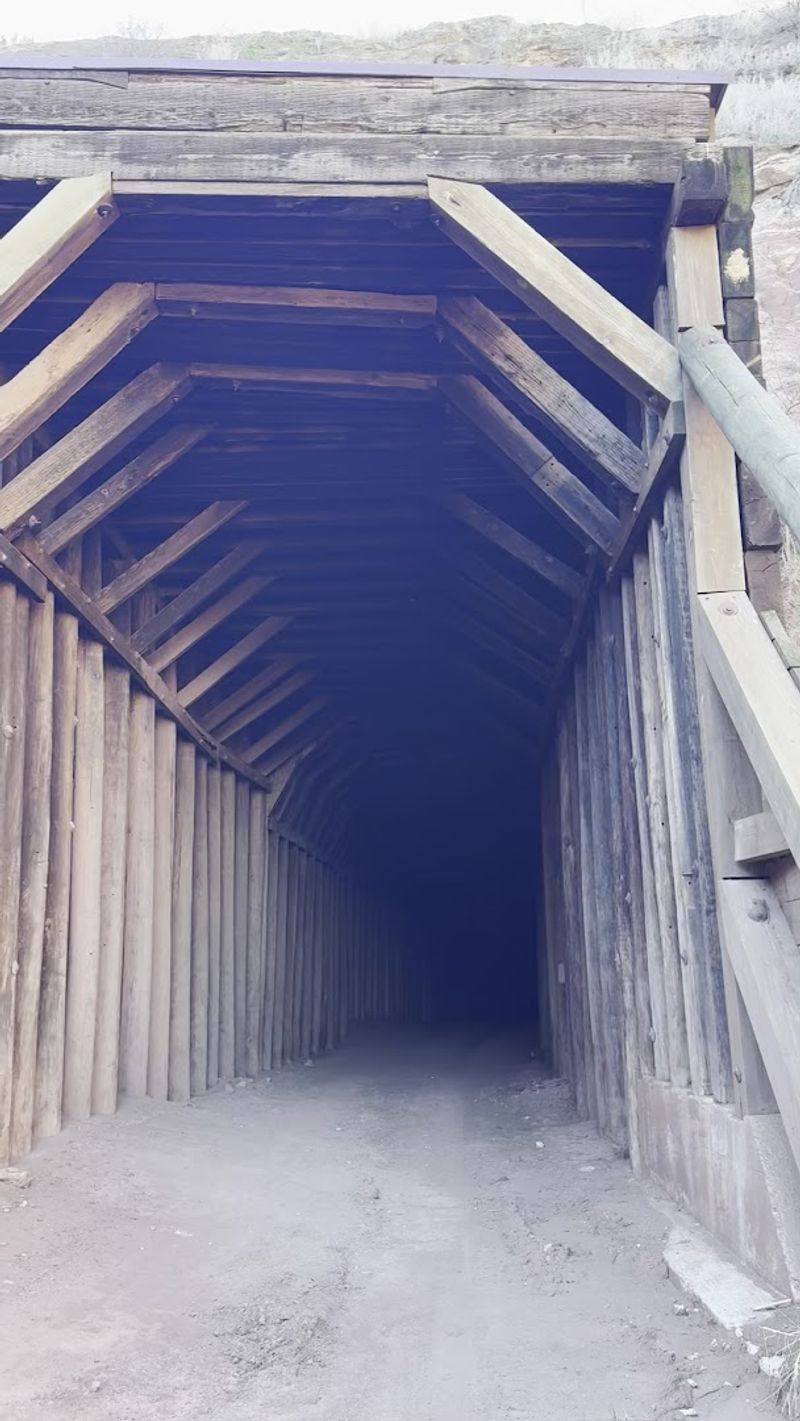 Safety, Dust, And Guano Reality