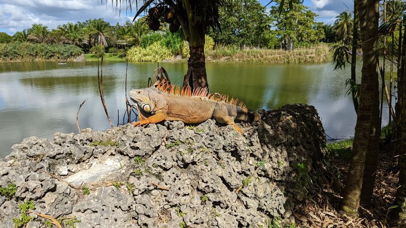 Peaceful Nature Walk With Wildlife Encounters