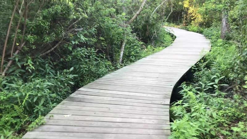 Zero Cost, Maximum Adventure