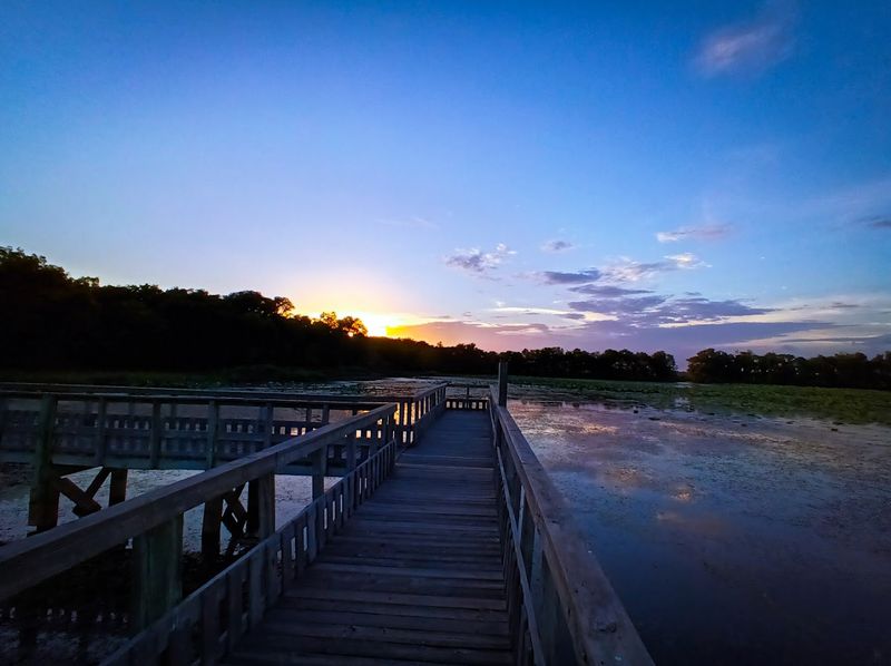 Photography Guide: Wetlands Light and Texture