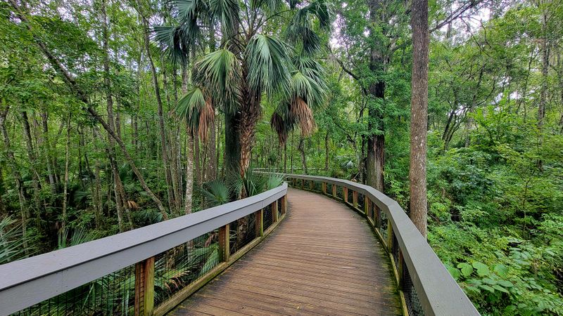 What Else To Do After Your Boat Ride