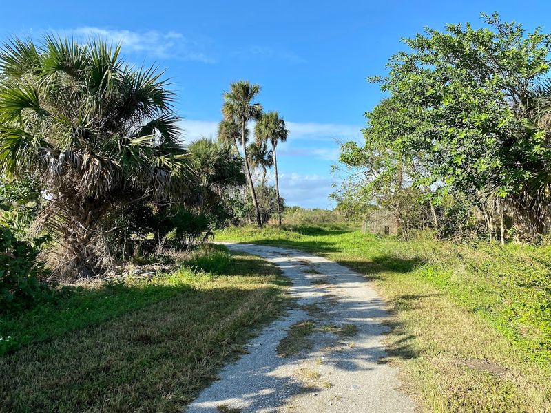 Daylight Explorations Before the Night Show