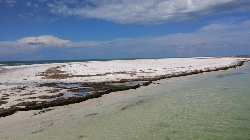 Shell Collecting Paradise With Unique Finds