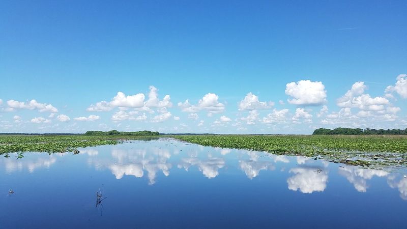 Lake Kissimmee (Polk & Osceola Counties)