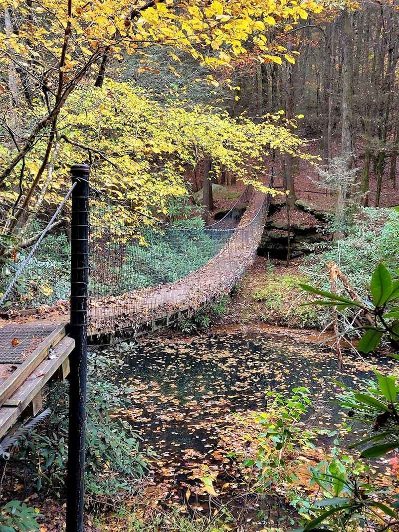 From Peaceful Lake Views To Trails Worth Exploring, The Scenery Never Gets Old