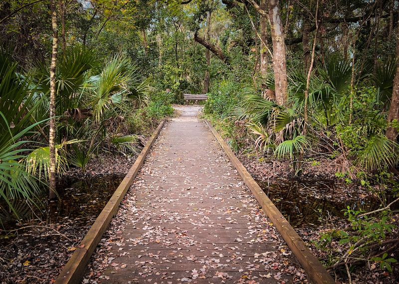 Boardwalk Trails Wind Through Pristine Habitats