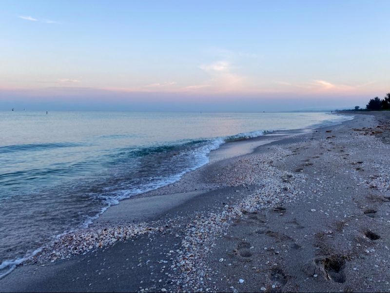 Casey Key Fish House: Fuel for Your Island Adventures