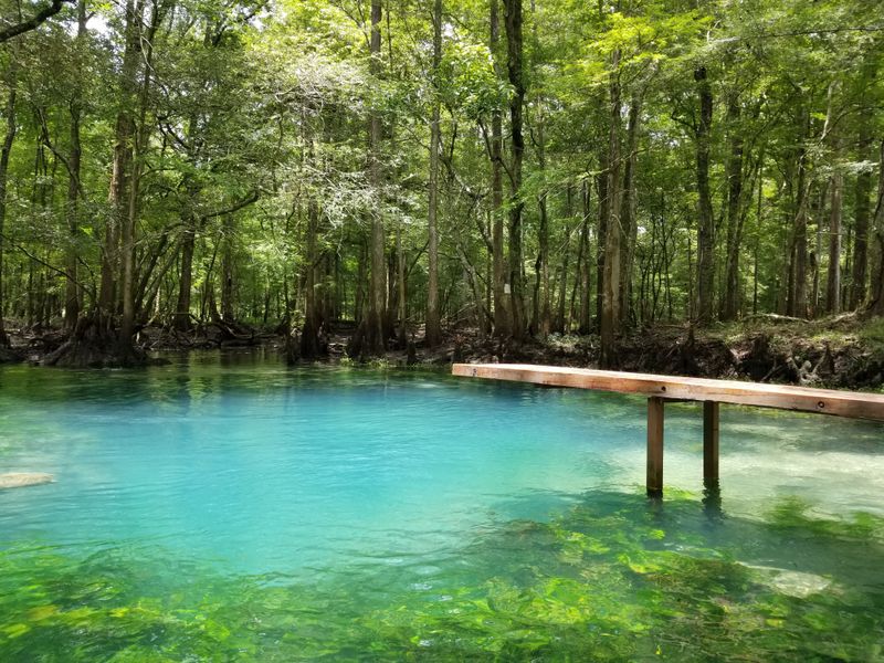 Trails, Chipola River, and Blue Hole Spring