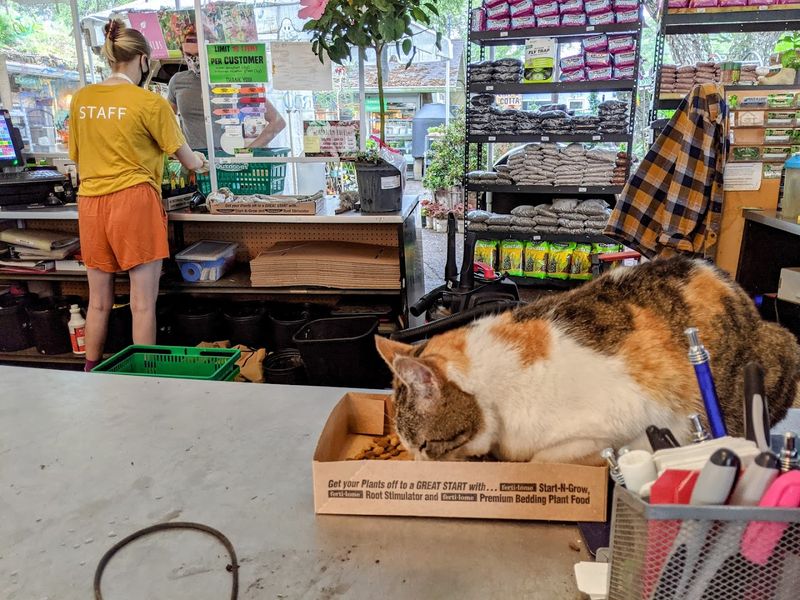 Staff Who Actually Know Their Plants Inside and Out