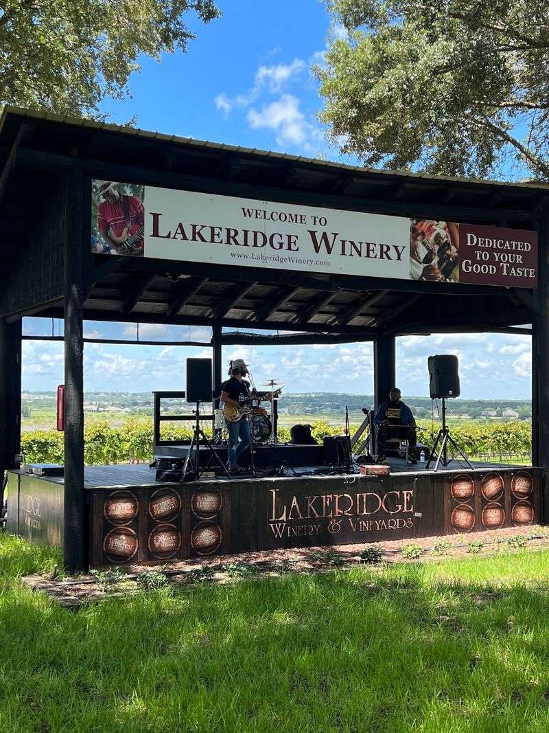 Food Trucks And Outdoor Dining Options